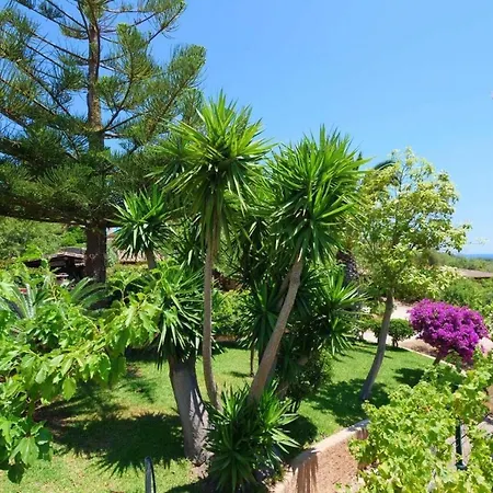Sa Vinyeta De Son Jaumell Capdepera (Mallorca)